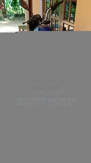 Demak 100 2013 Motorbike (Used)