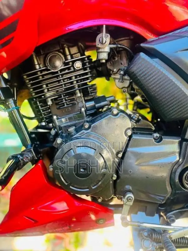 TVS Apache 2019 Motorbike (Used)