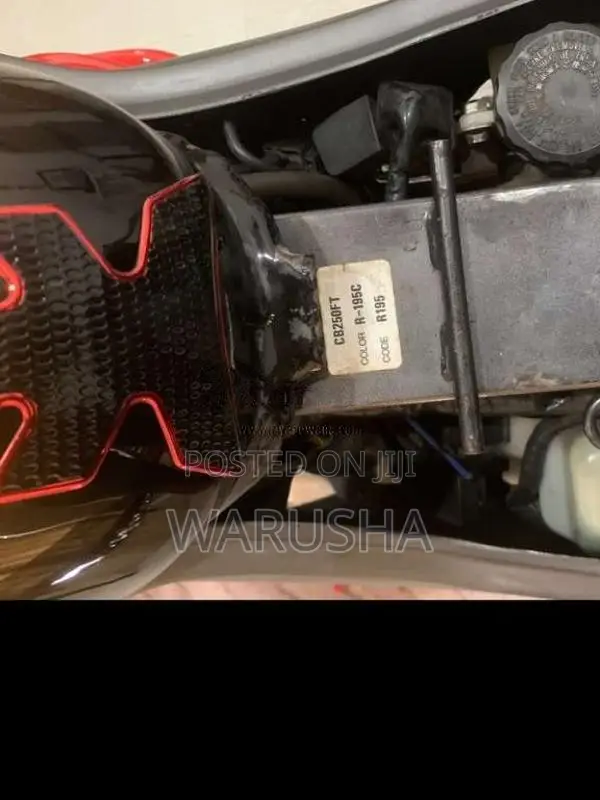 Honda Hornet 2023 Motorbike (Used)