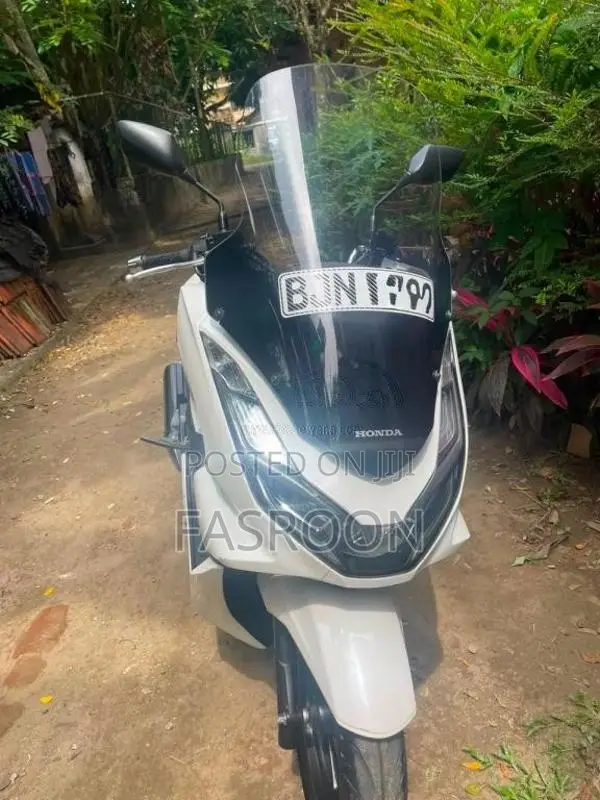 Honda Japan 2023 Motorbike (Used)