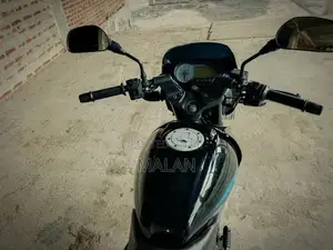 Bajaj Pulsar 150 2009 Motorbike (Used)