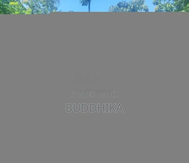 Hitachi Landy 60-1 2010 Heavy-Duty (Used)