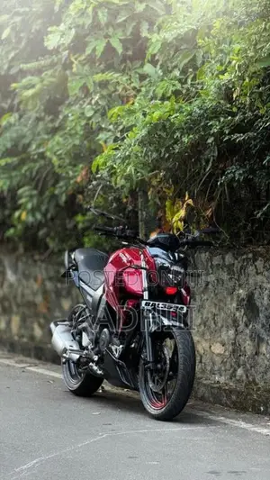 Yamaha Fz 2014 Motorbike (Used)