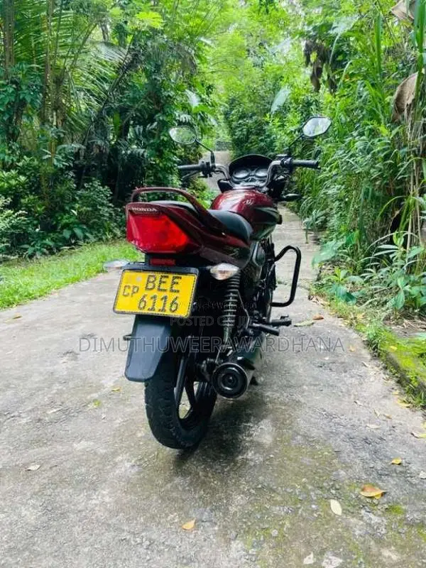 Honda Shine 2016 Motorbike (Used)