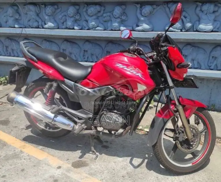 Hero-Honda Hunk 2008 Motorbike (Used)