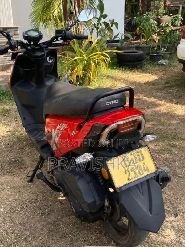 Dyno Scooby 2023 Motorbike (Used)