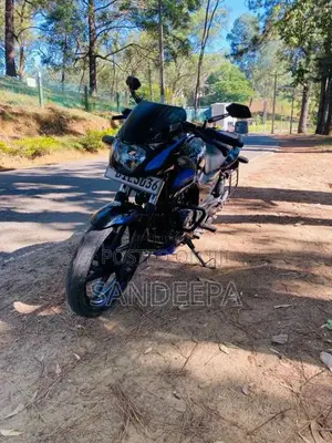 Bajaj Pulsar 150 2019 Motorbike (Used)