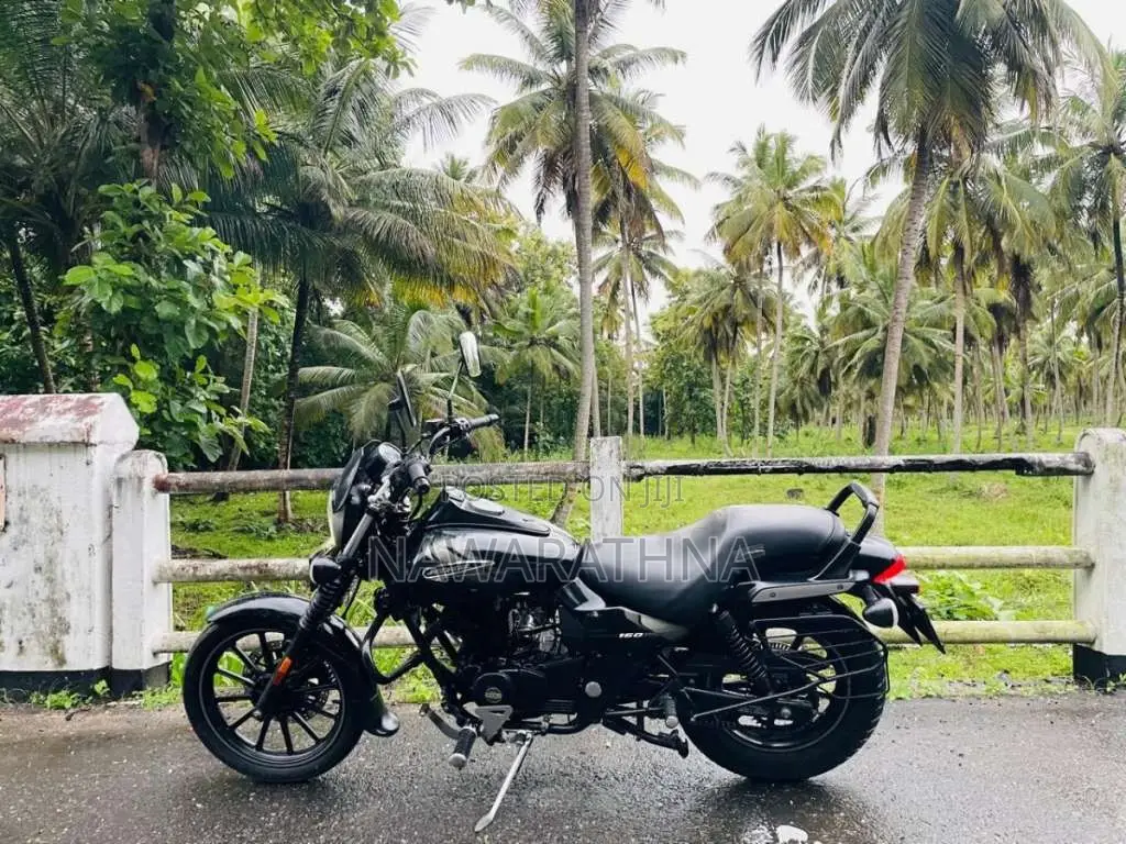 Bajaj Avenger 160 Street 2019 Motorbike (Used)