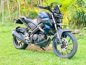 Yamaha MT-15 2019 Motorbike (Used)