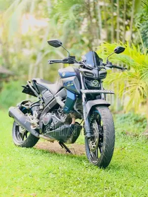 Yamaha MT-15 2019 Motorbike (Used)