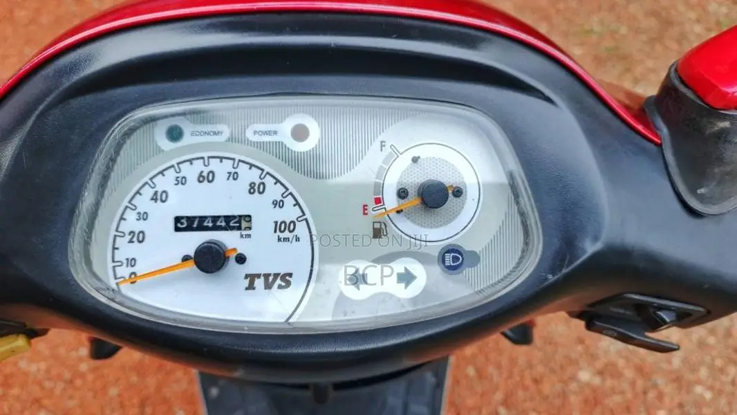TVS Scooty Pep Plus 2019 Motorbike (Used)