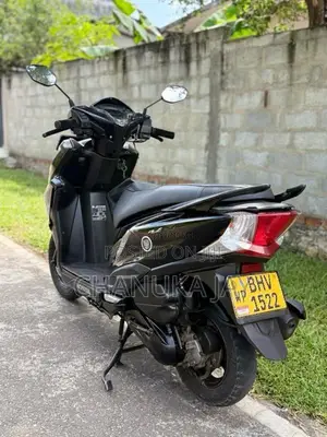 Honda Grazia Dx 2019 Motorbike (Used)