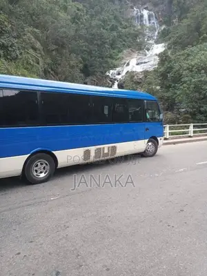 Mitsubishi Bola Rosa 2017 Bus (Used)