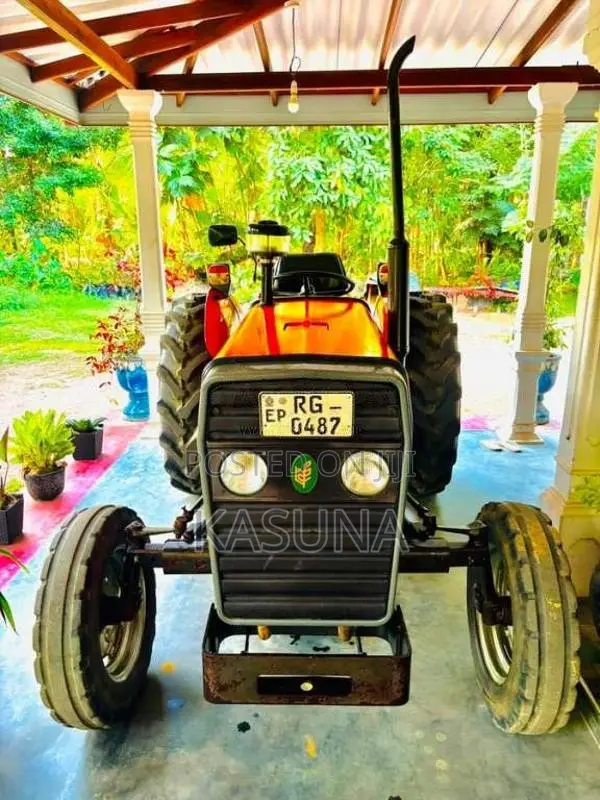 TAFE 45DI 2019 Tractor (Used)