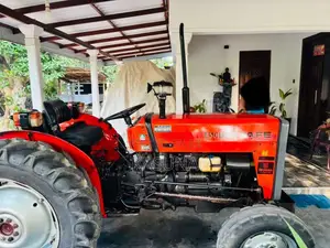 TAFE 45DI 2019 Tractor (Used)