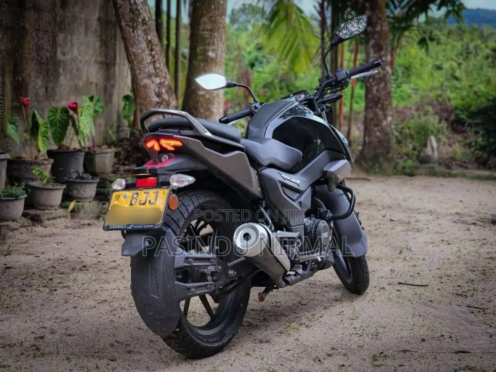 TVS Raider 125 2024 Motorbike (Used)