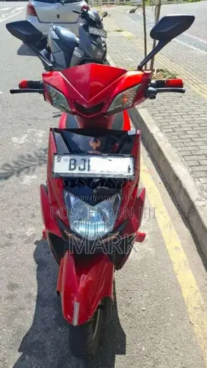 Other RISE LEADER ELECTRIC Scooter 2024 Motorbike (Used)