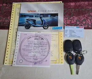 Other RISE LEADER ELECTRIC Scooter 2024 Motorbike (Used)