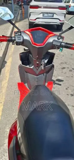 Other RISE LEADER ELECTRIC Scooter 2024 Motorbike (Used)