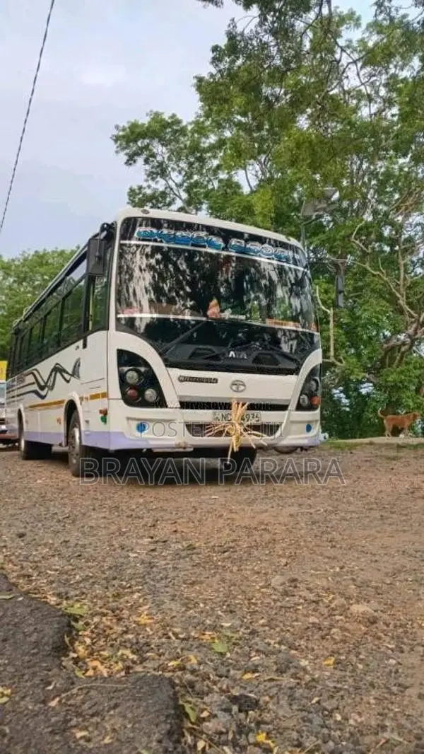 Tata 42 Maruwata Kamati 2015 Bus (Used)