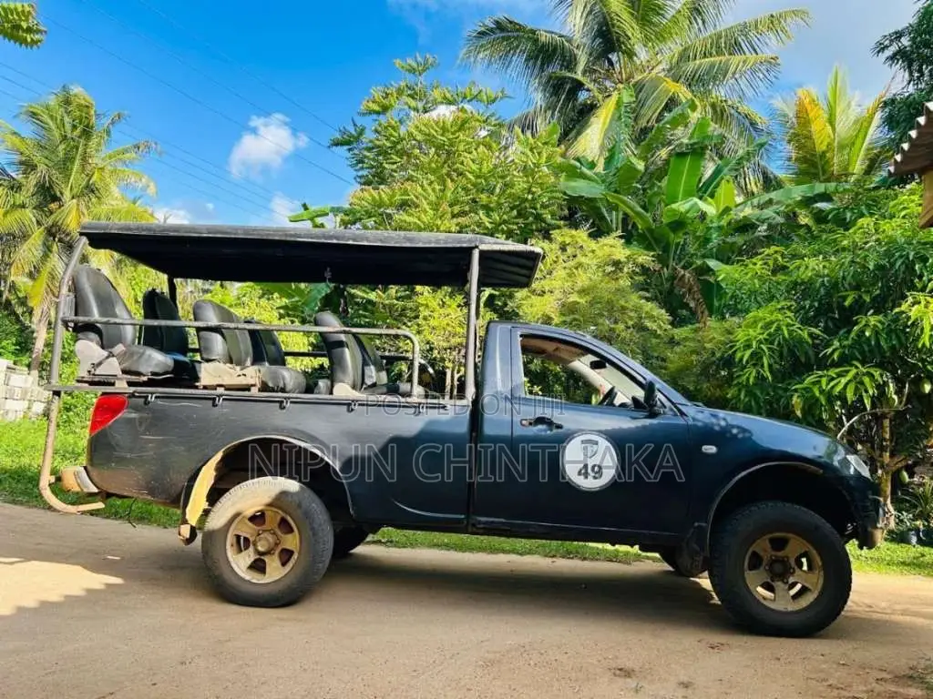 Mitsubishi Mitsubishi 2011 SUV (Used)