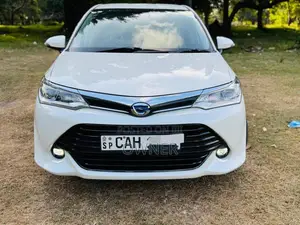 Toyota Axio G Safety 2015 Car (Used)