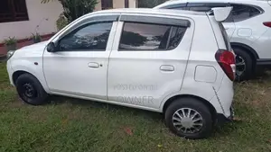 Suzuki Alto 2015 Car (Used)