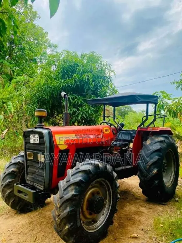 TAFE 3502 2011 Tractor (Used)