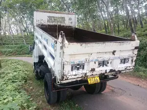 Isuzu Tipper 2002 Lorry (Used)