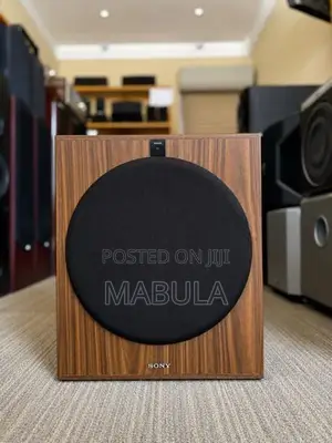 Sony 12" inch Powered Subwoofer