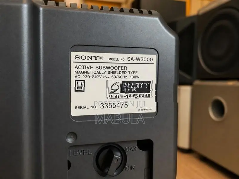 Sony 12" inch Powered Subwoofer