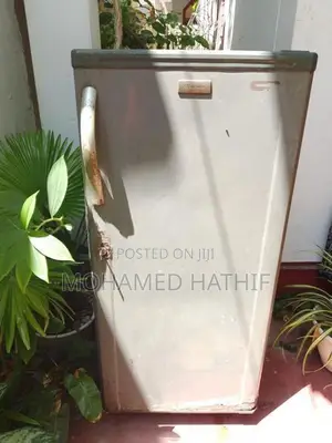 Electrolux Fridge