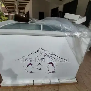 Hisense Freezer