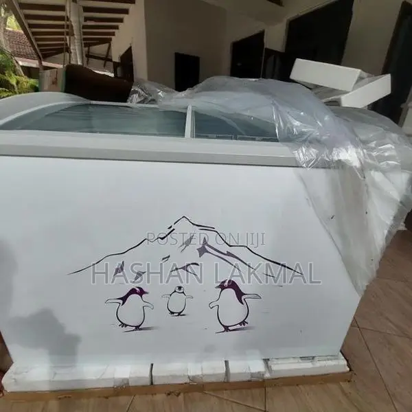 Hisense Freezer