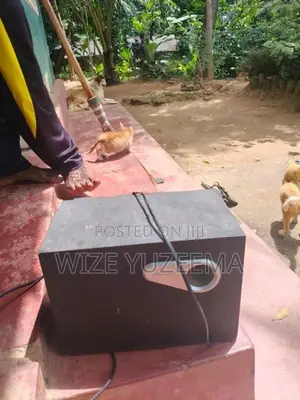 Subwoofer