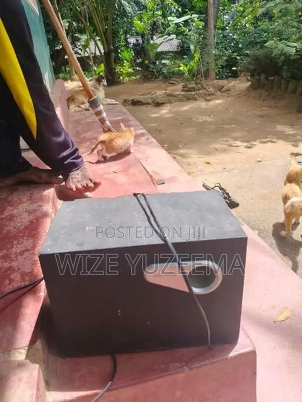 Subwoofer