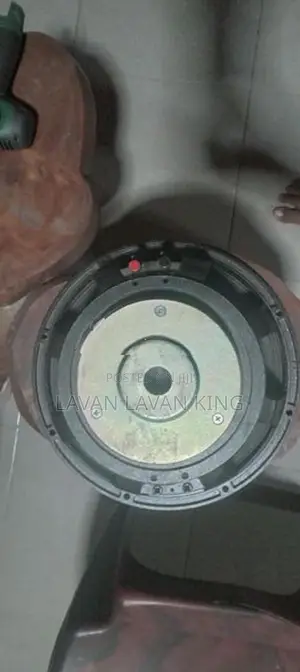 12" Woofer Speaker