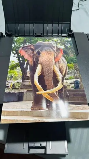 Canon pixma G3910 Printer