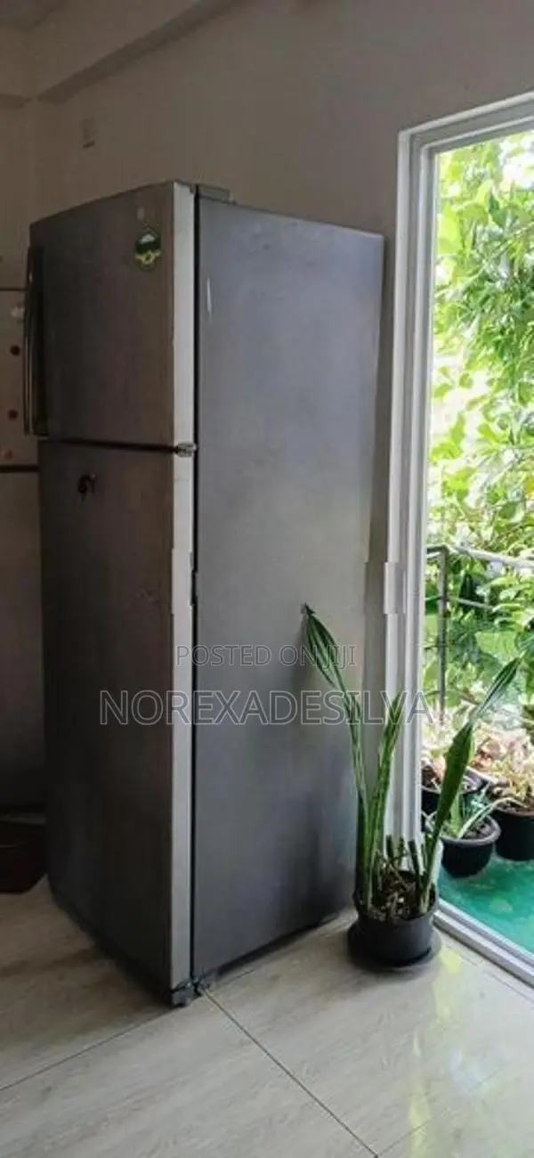 Fridge