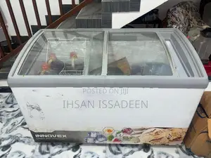 Display Freezer
