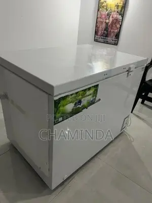 SGL Deep Freezer