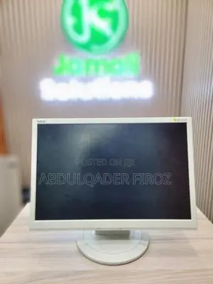 NEC AS192WM Monitor - 19 Inch Wide Angle