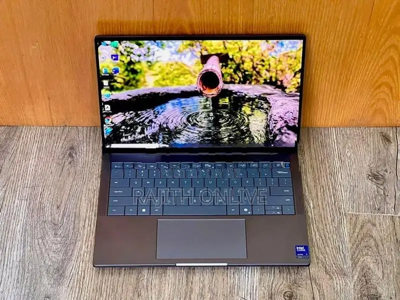 Dell Pro 14 Premium (PA14250)