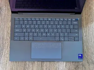 Dell Pro 14 Premium (PA14250)