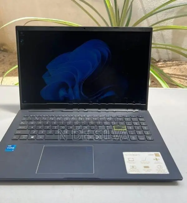 Asus Vivobook X513EP i7