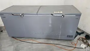Singer Deep Freezer