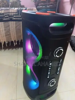 Tecsonic