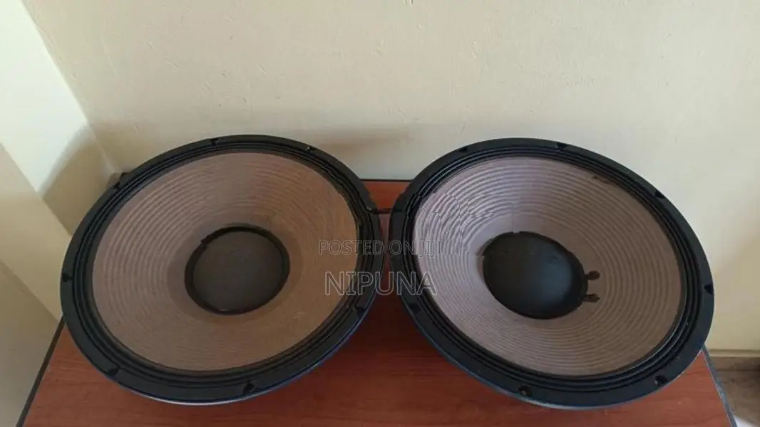 15 P Audio Speaker