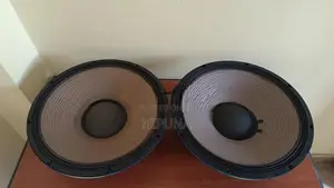 15 P Audio Speaker