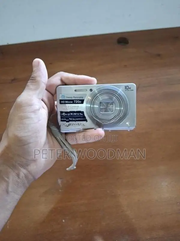 Sony Cyber-shot Digital Camera (10x Zoom, 25mm Wide Angle)